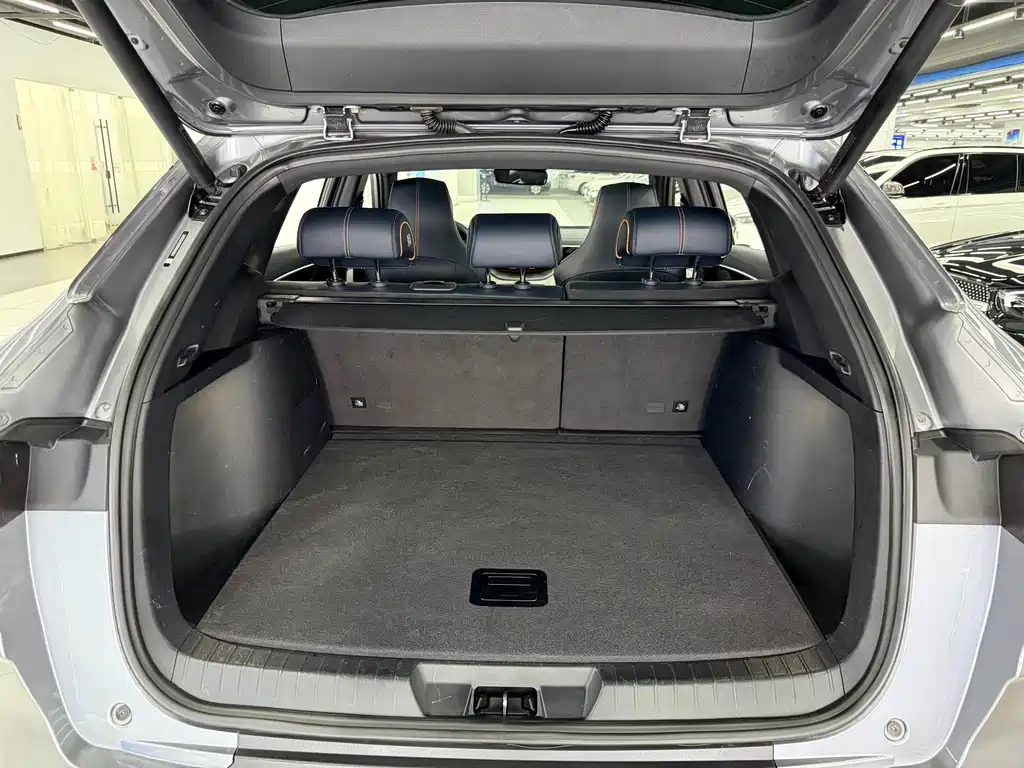 BYD PLUS New Energy — фото 11