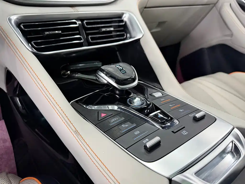 BYD PLUS New Energy — фото 13