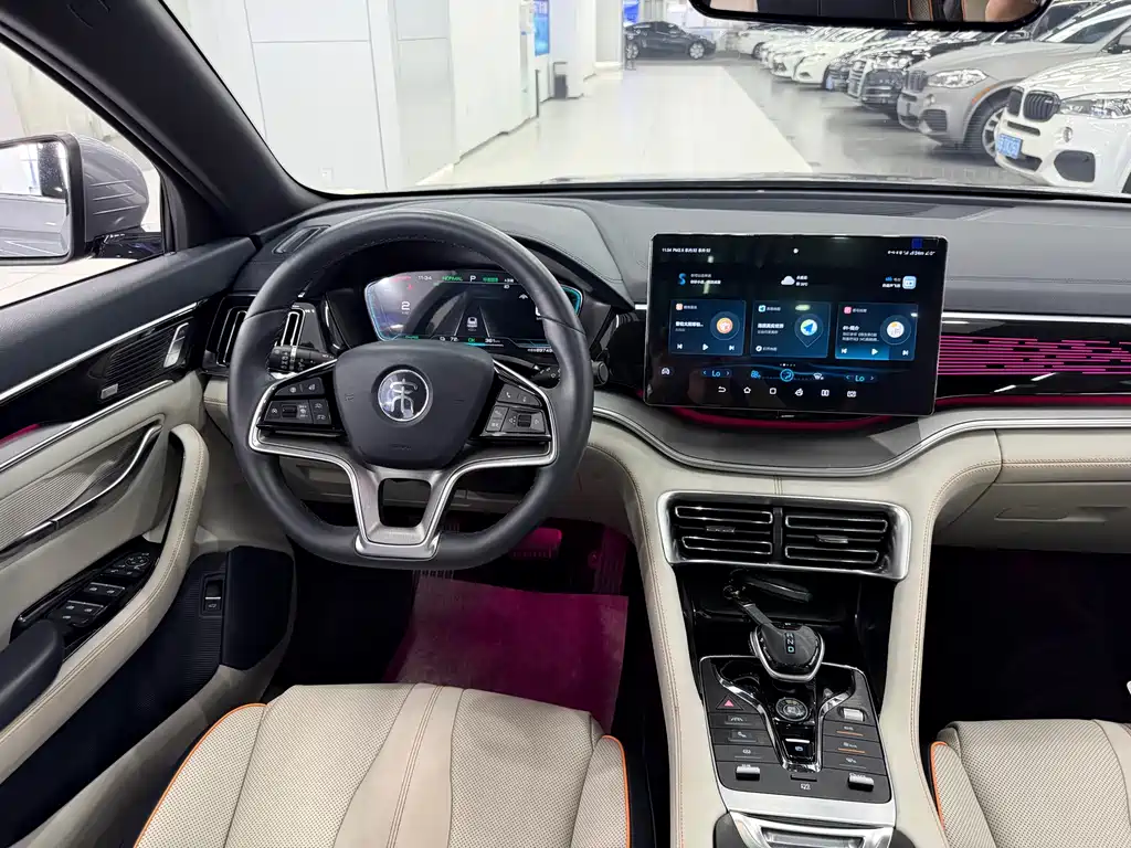 BYD PLUS New Energy — фото 15