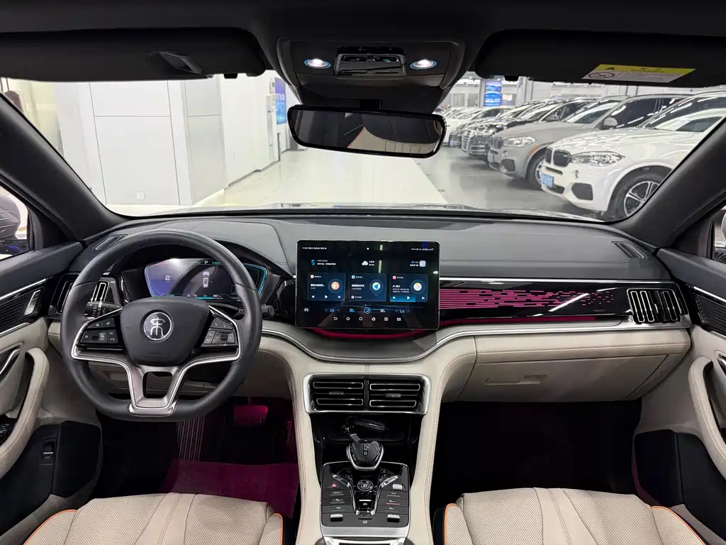BYD PLUS New Energy — фото 10