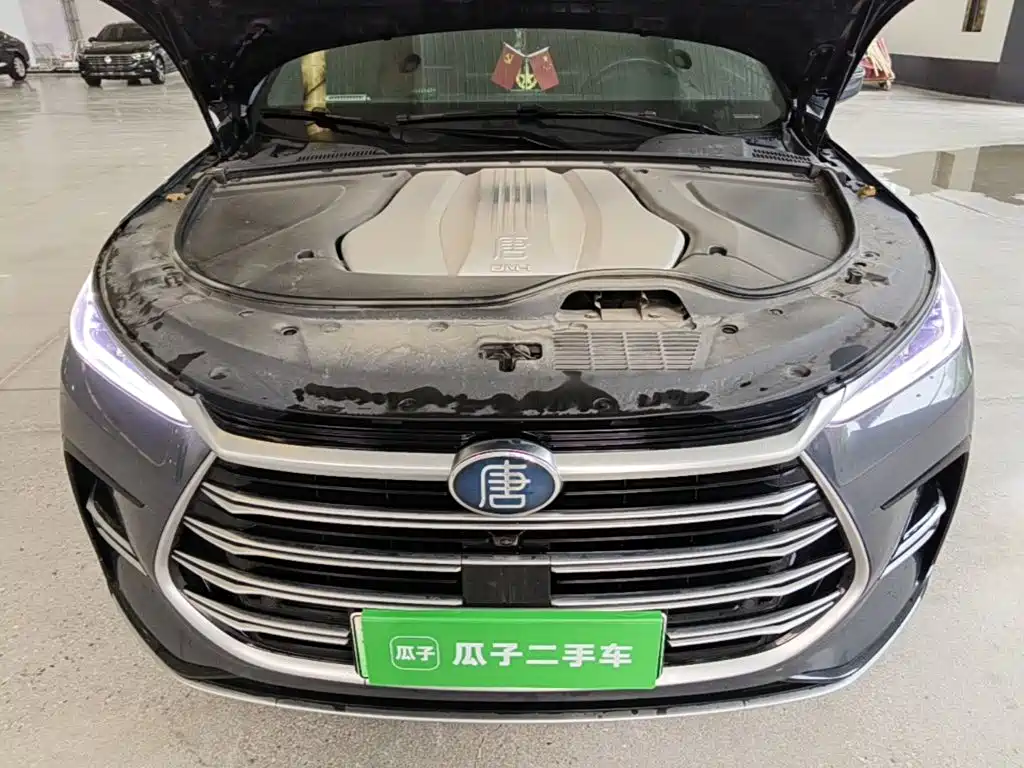 BYD Tang New Energy — фото 20