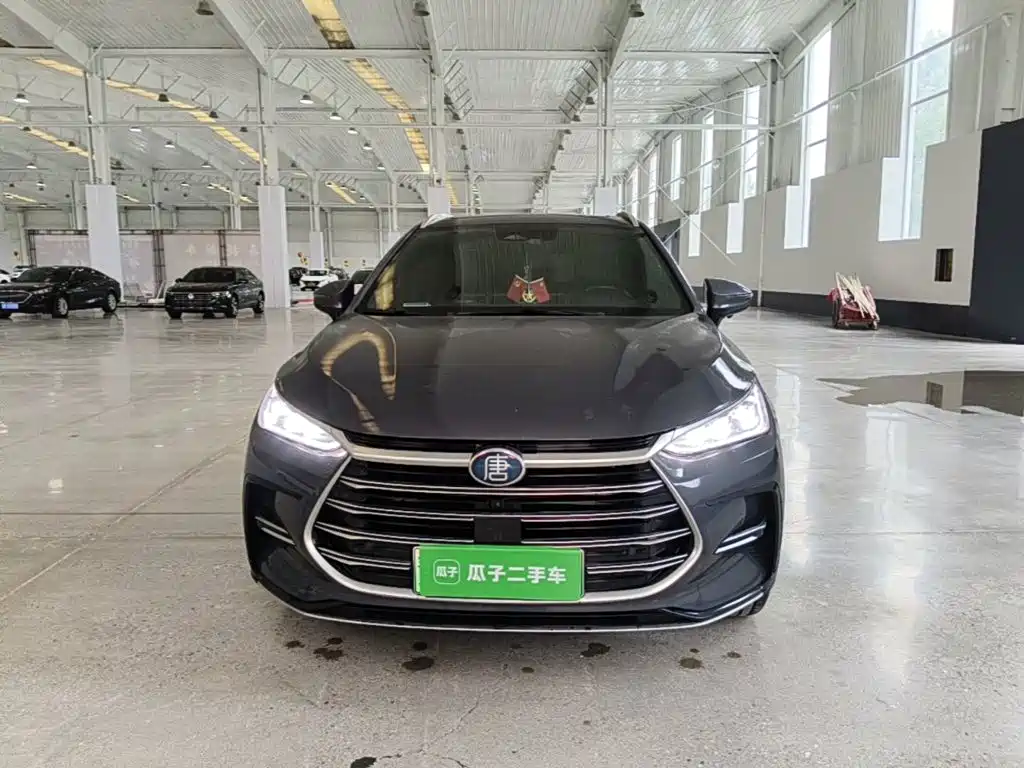 BYD Tang New Energy — фото 3