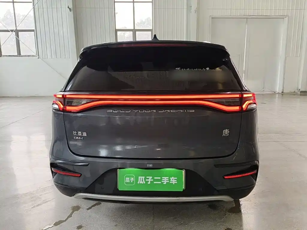 BYD Tang New Energy — фото 6