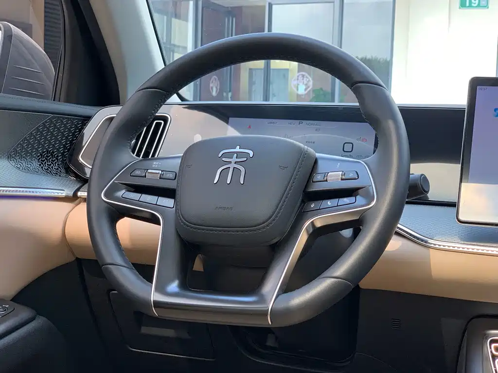 BYD Pro New Energy — фото 19