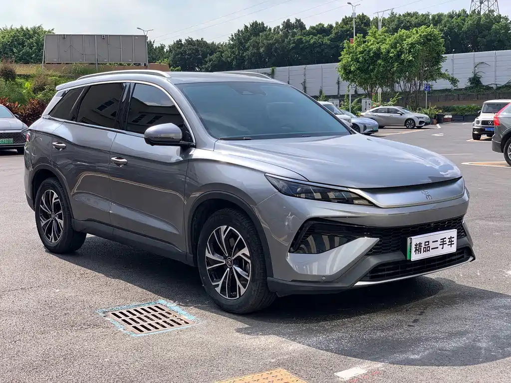 BYD Pro New Energy — фото 3