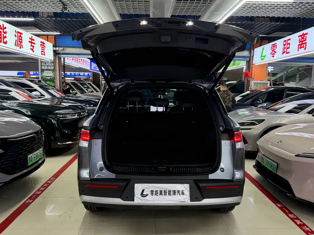 BYD Pro New Energy — фото 15