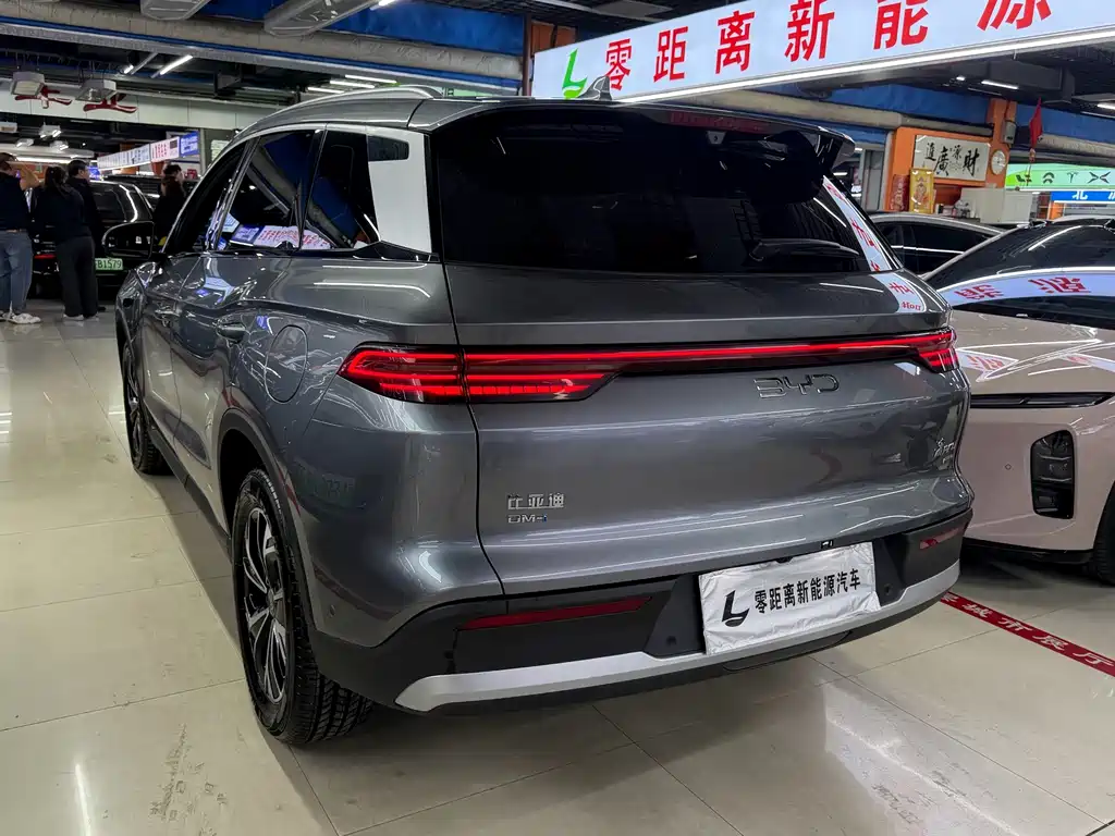 BYD Pro New Energy — фото 4