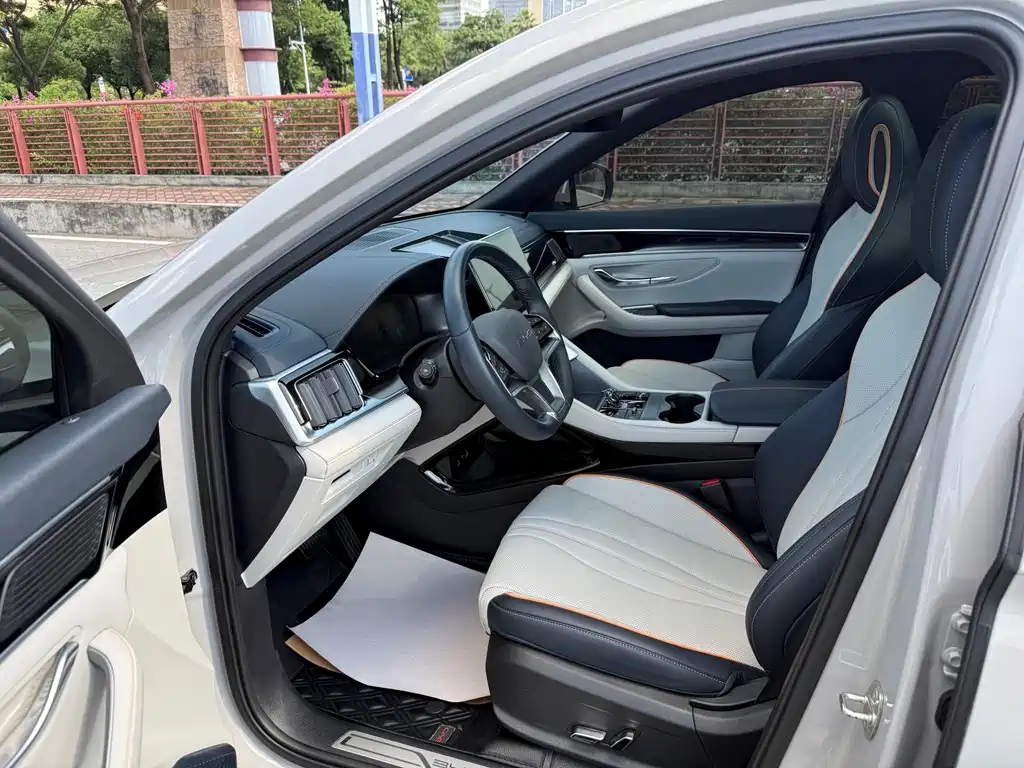 BYD PLUS New Energy — фото 5