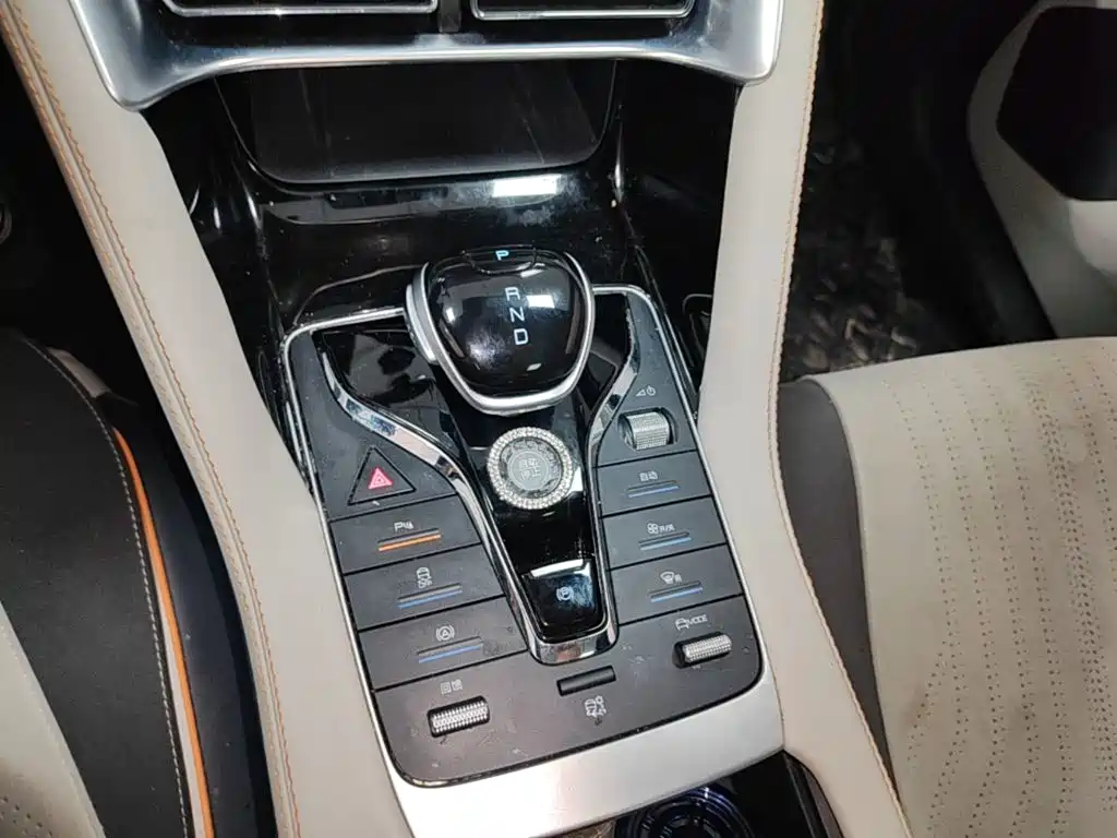 BYD PLUS New Energy — фото 14
