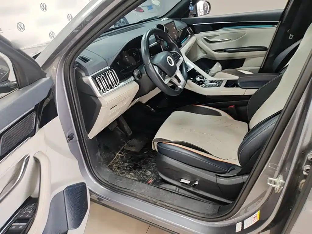 BYD PLUS New Energy — фото 15