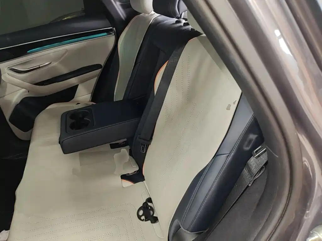 BYD PLUS New Energy — фото 17
