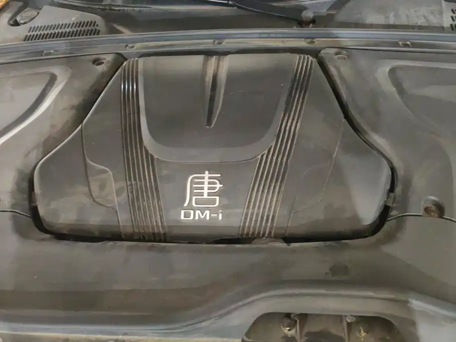 BYD Tang New Energy — фото 10