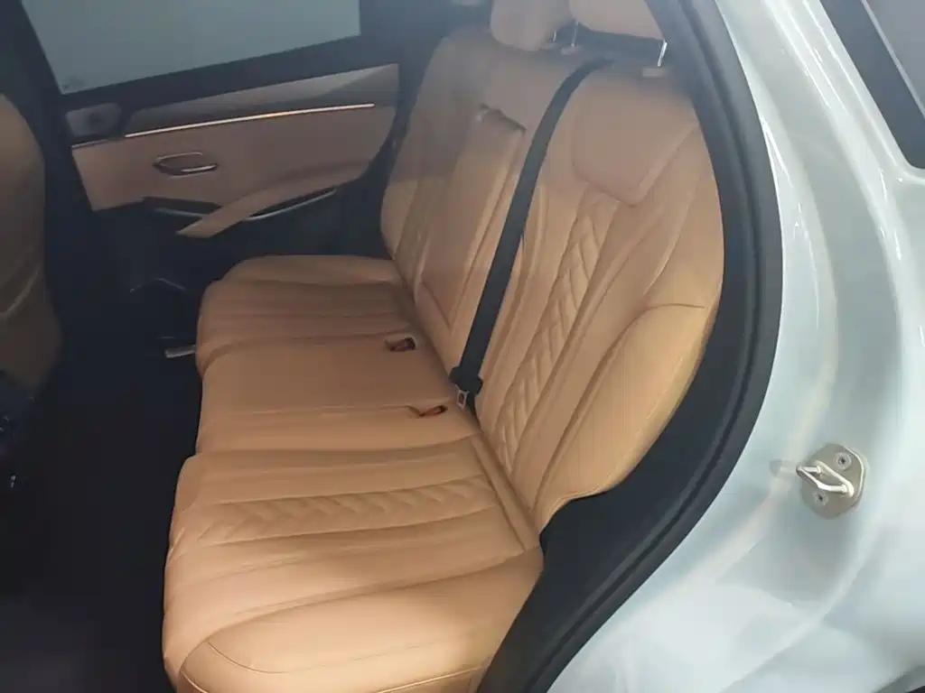 BYD L DM-i — фото 17