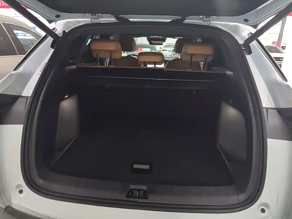 BYD L DM-i — фото 19