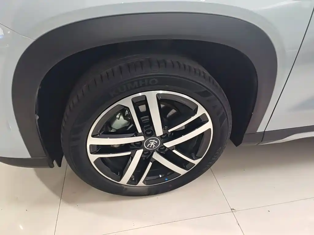 BYD L DM-i — фото 23