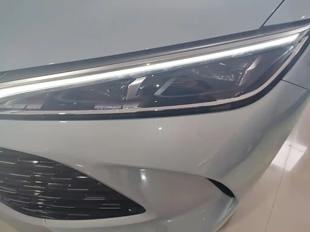 BYD L DM-i — фото 24