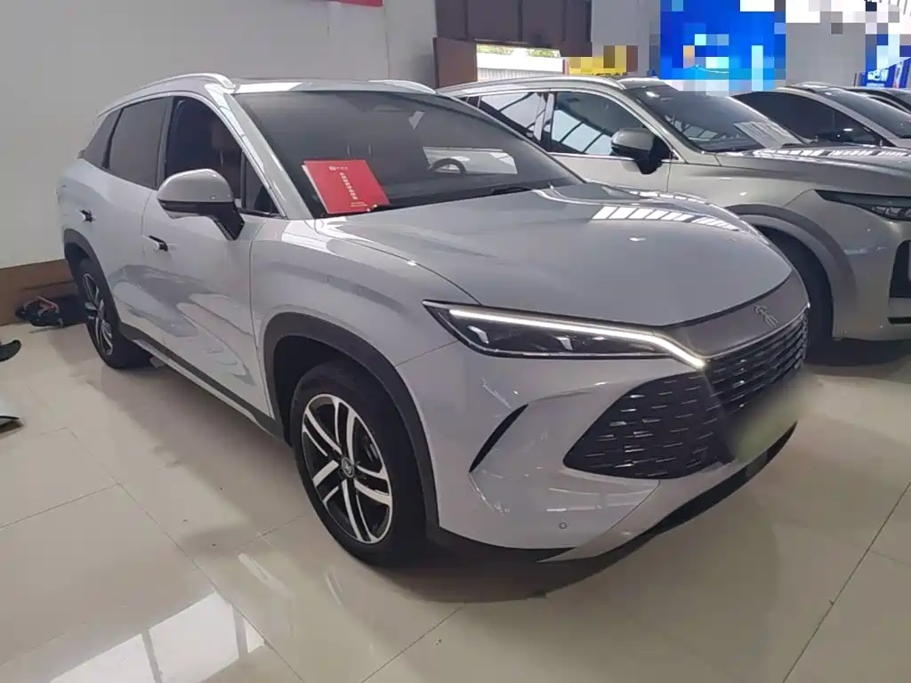 BYD L DM-i — фото 4