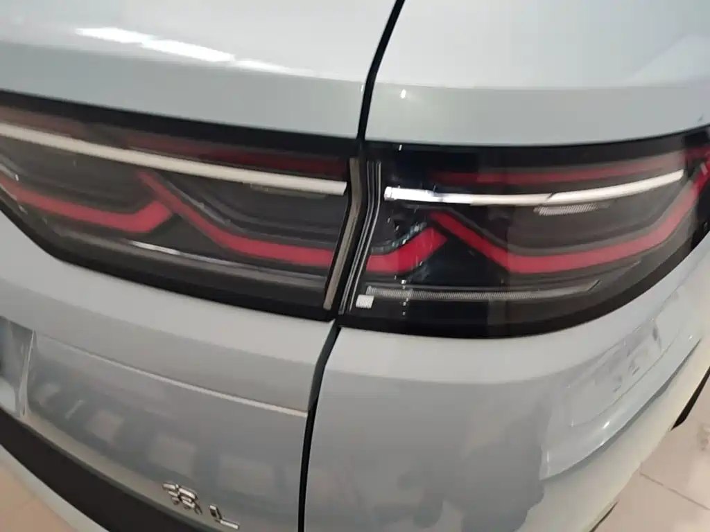 BYD L DM-i — фото 8
