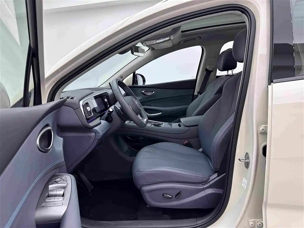 BYD Sealion 05 DM-i — фото 18