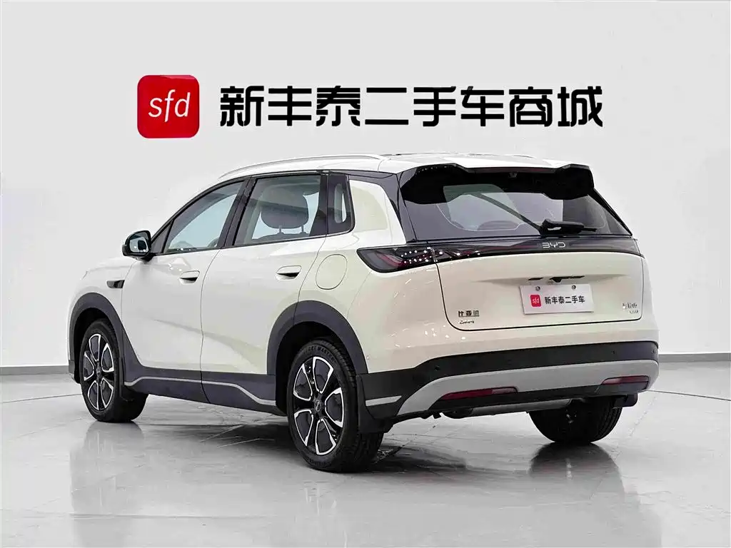 BYD Sealion 05 DM-i — фото 6