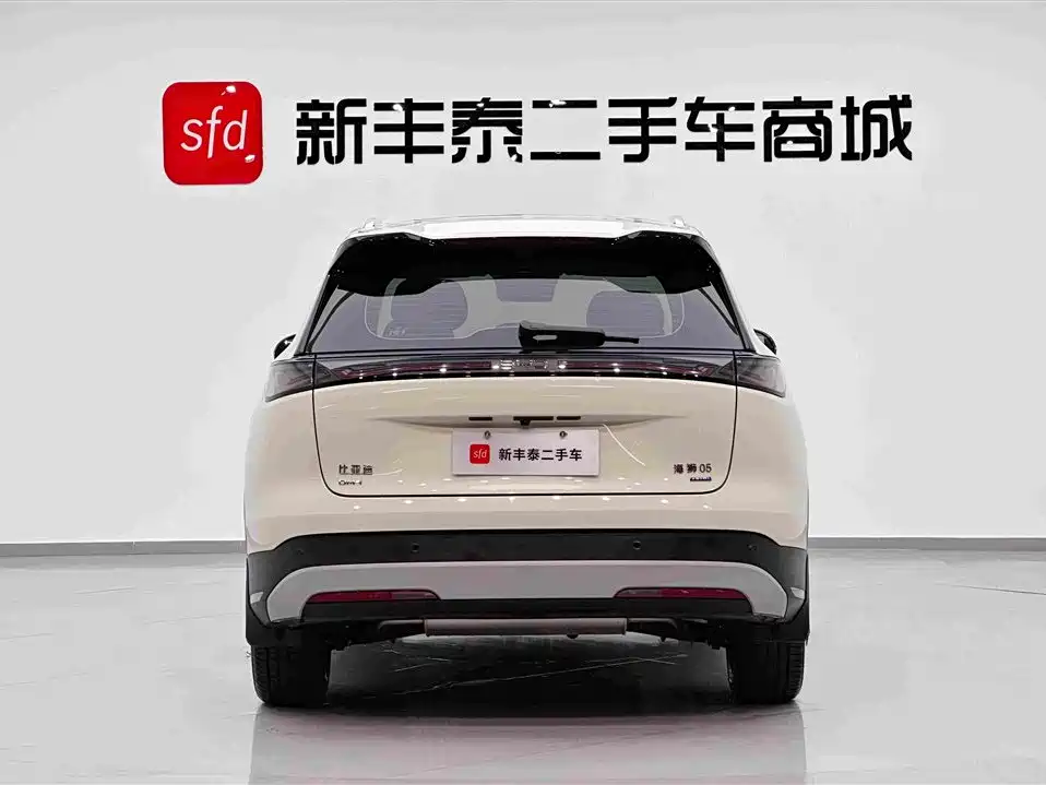 BYD Sealion 05 DM-i — фото 7
