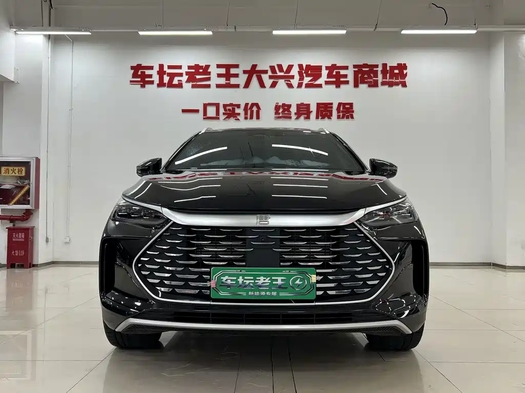 BYD Tang New Energy — фото 2