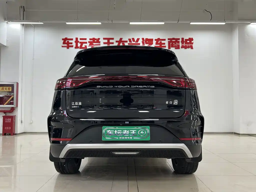 BYD Tang New Energy — фото 14