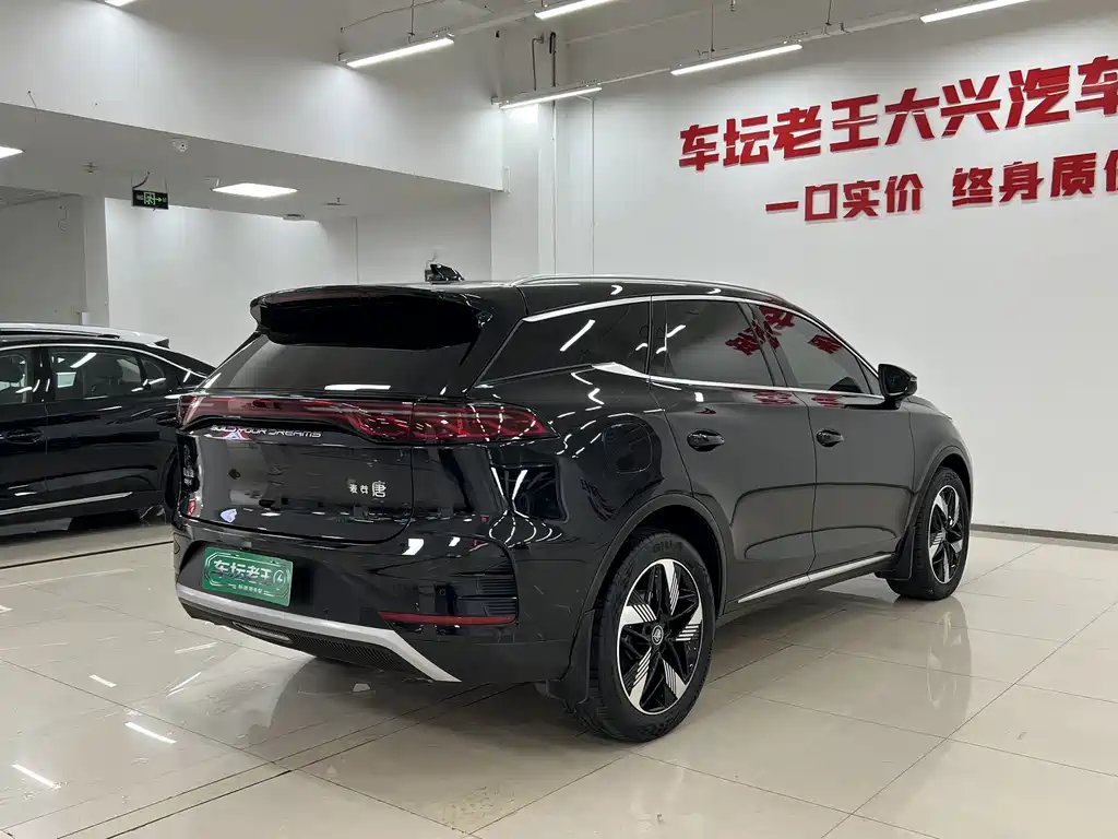 BYD Tang New Energy — фото 15