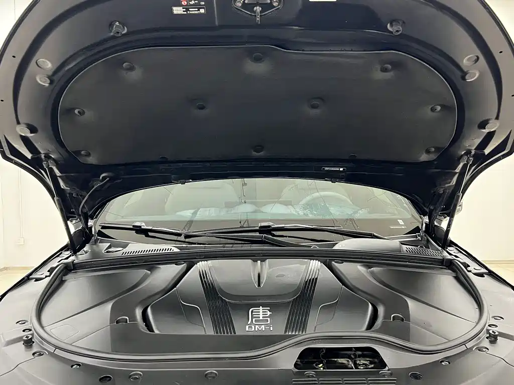 BYD Tang New Energy — фото 18