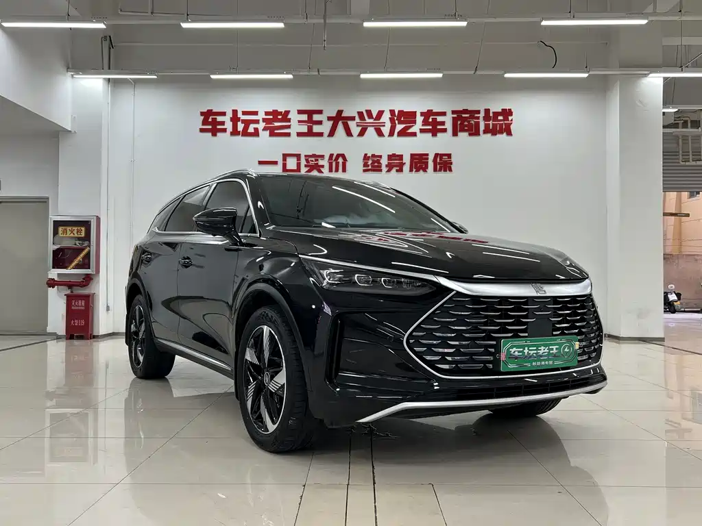 BYD Tang New Energy — фото 3