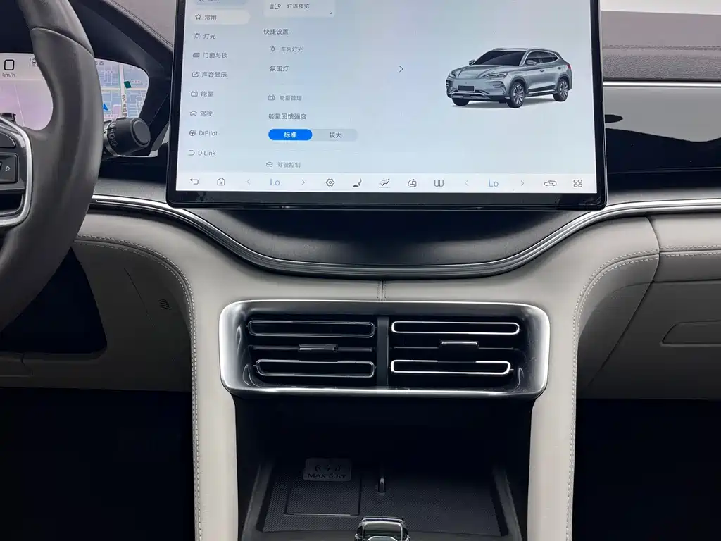 BYD PLUS New Energy — фото 11
