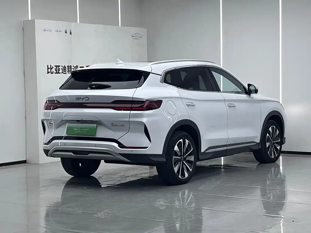 BYD PLUS New Energy — фото 3