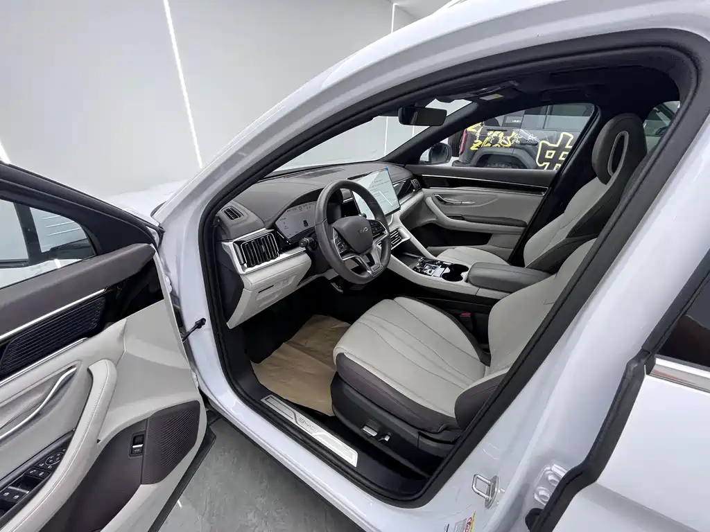 BYD PLUS New Energy — фото 6
