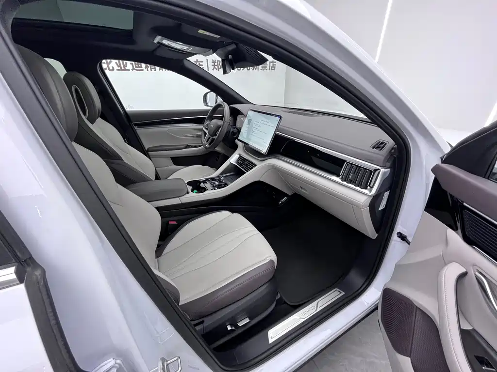BYD PLUS New Energy — фото 7