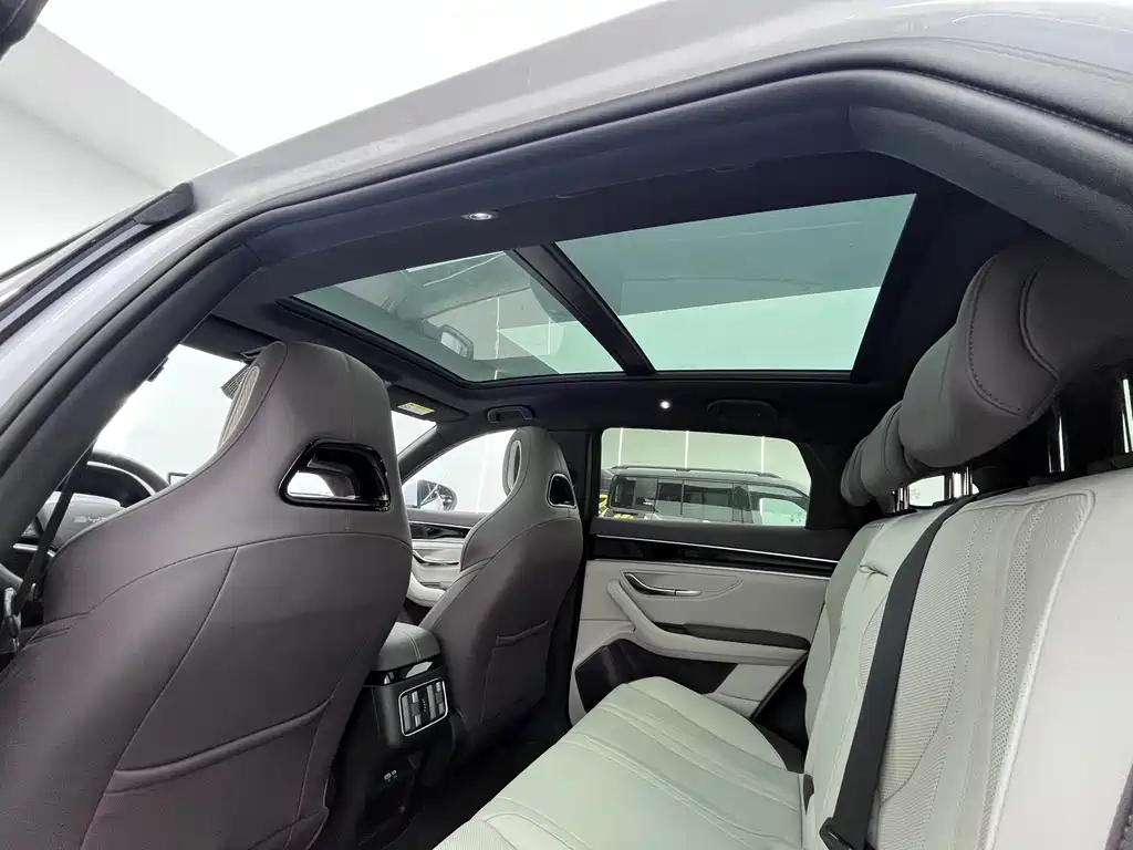 BYD PLUS New Energy — фото 10