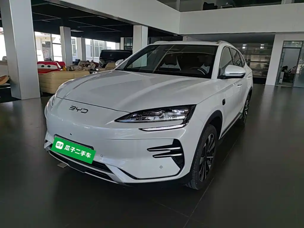 BYD PLUS New Energy — фото 2