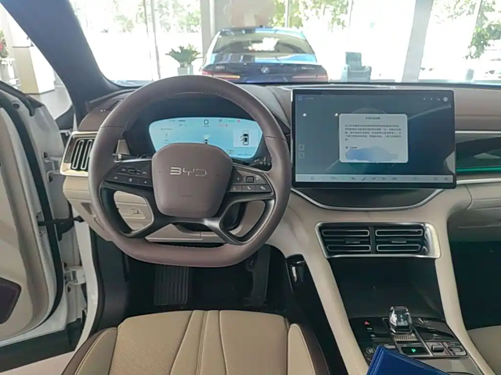 BYD PLUS New Energy — фото 11
