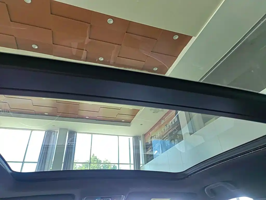 BYD PLUS New Energy — фото 18