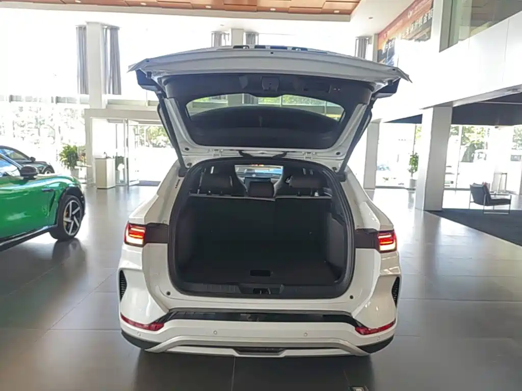 BYD PLUS New Energy — фото 19