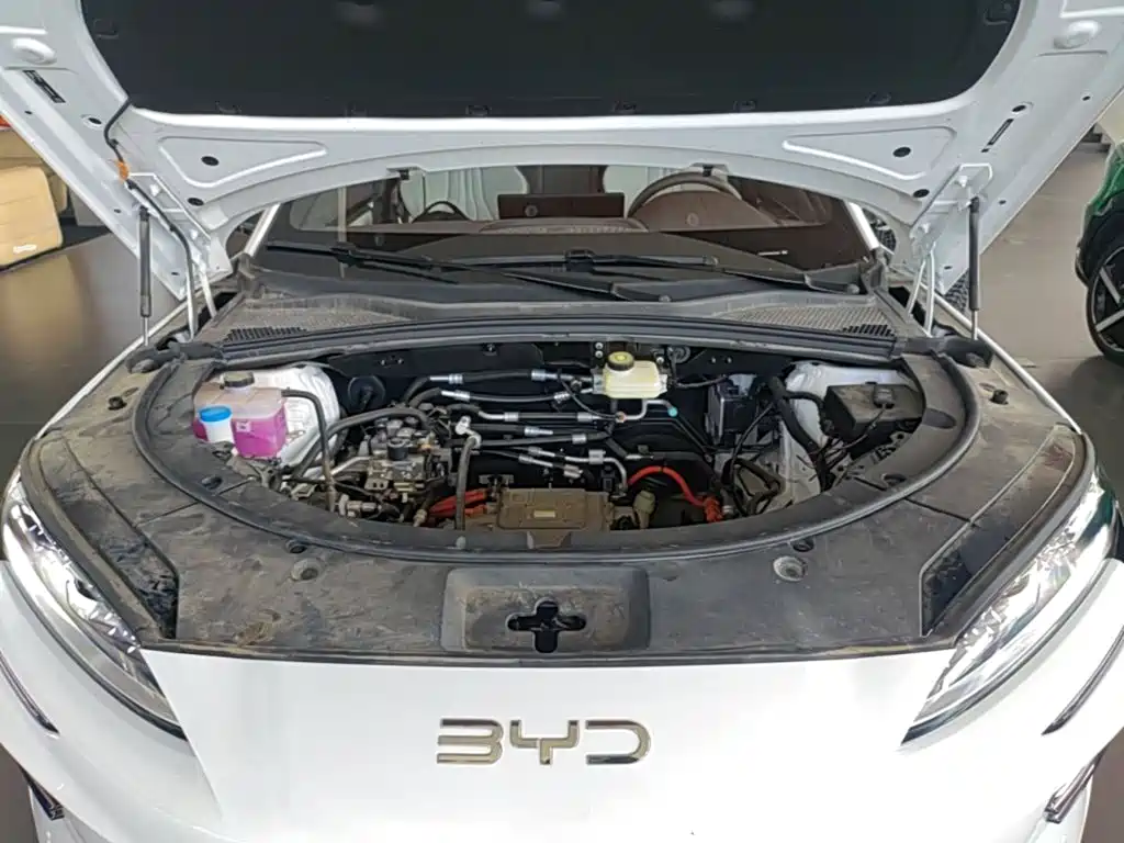 BYD PLUS New Energy — фото 20