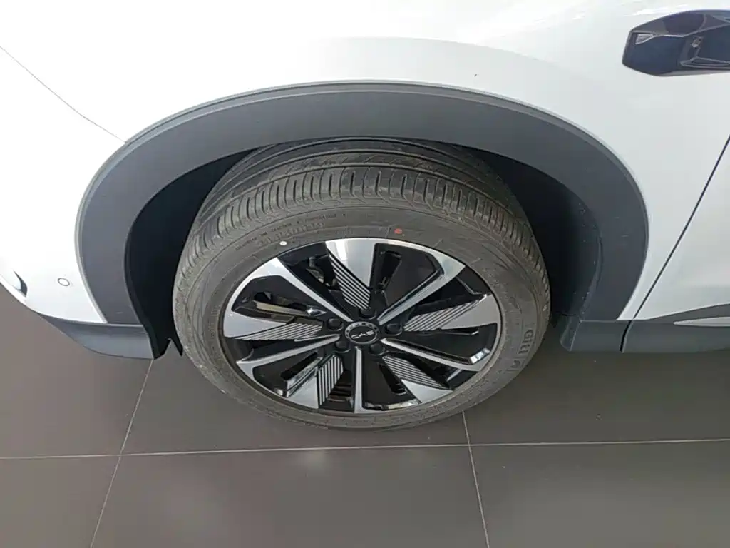 BYD PLUS New Energy — фото 23