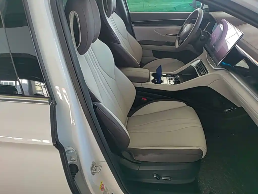 BYD PLUS New Energy — фото 25
