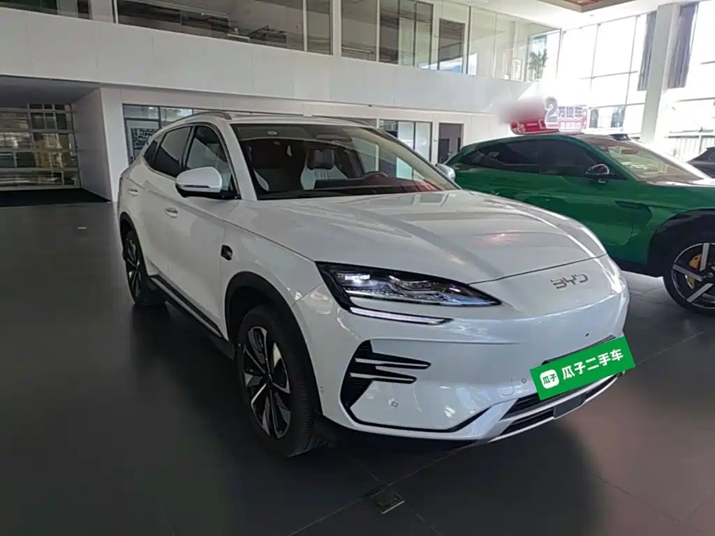 BYD PLUS New Energy — фото 4