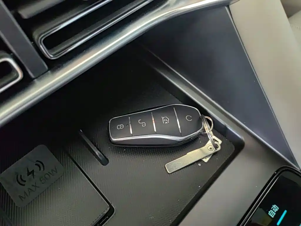BYD PLUS New Energy — фото 9