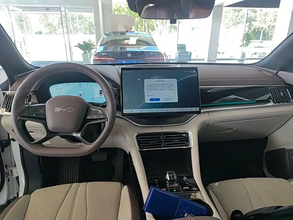 BYD PLUS New Energy — фото 10