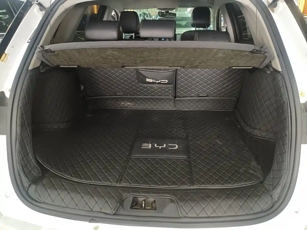 BYD Pro — фото 19