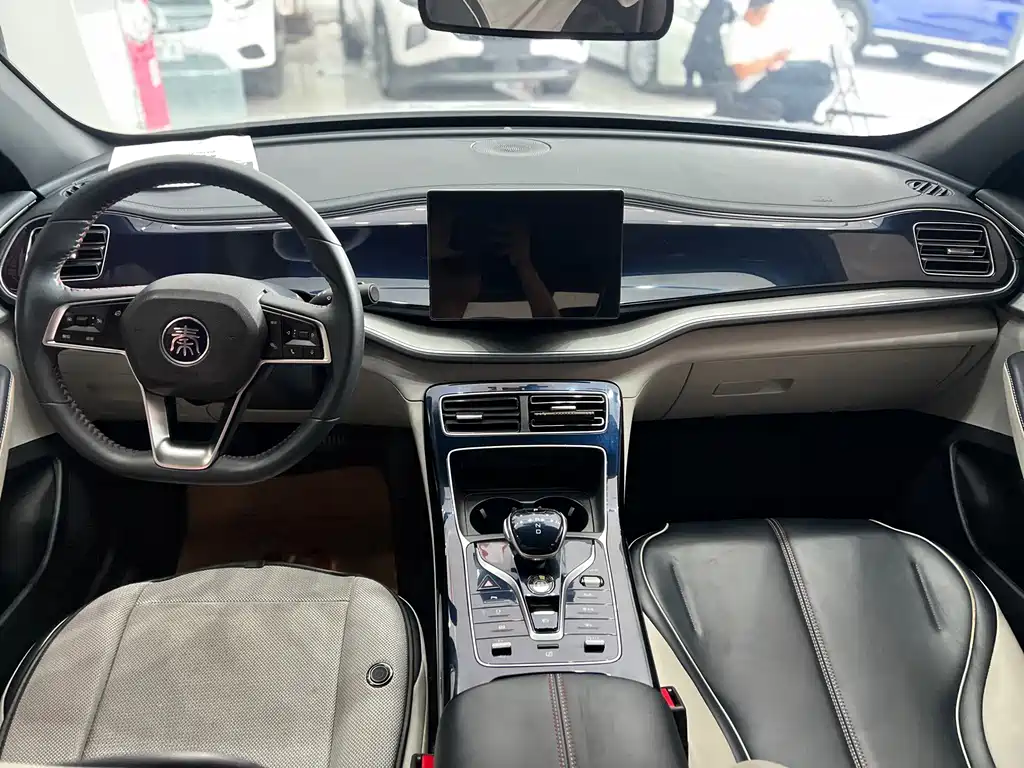 BYD Qin PLUS — фото 3