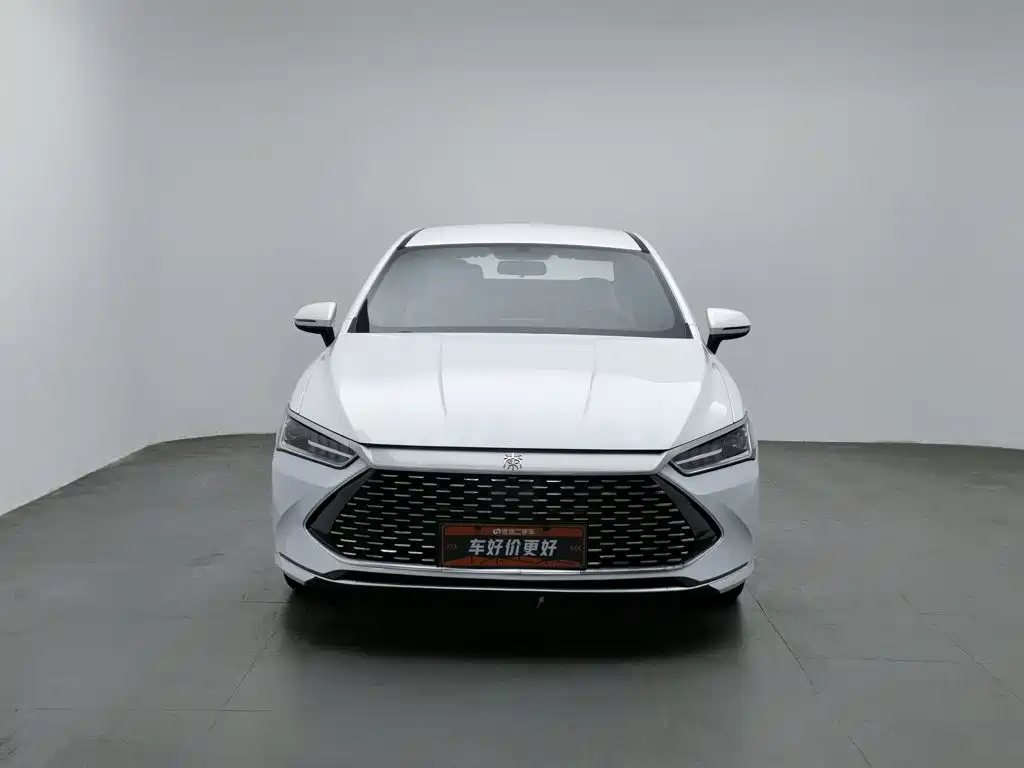 BYD Qin PLUS — фото 3
