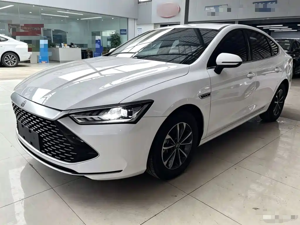 BYD Qin PLUS — фото 2