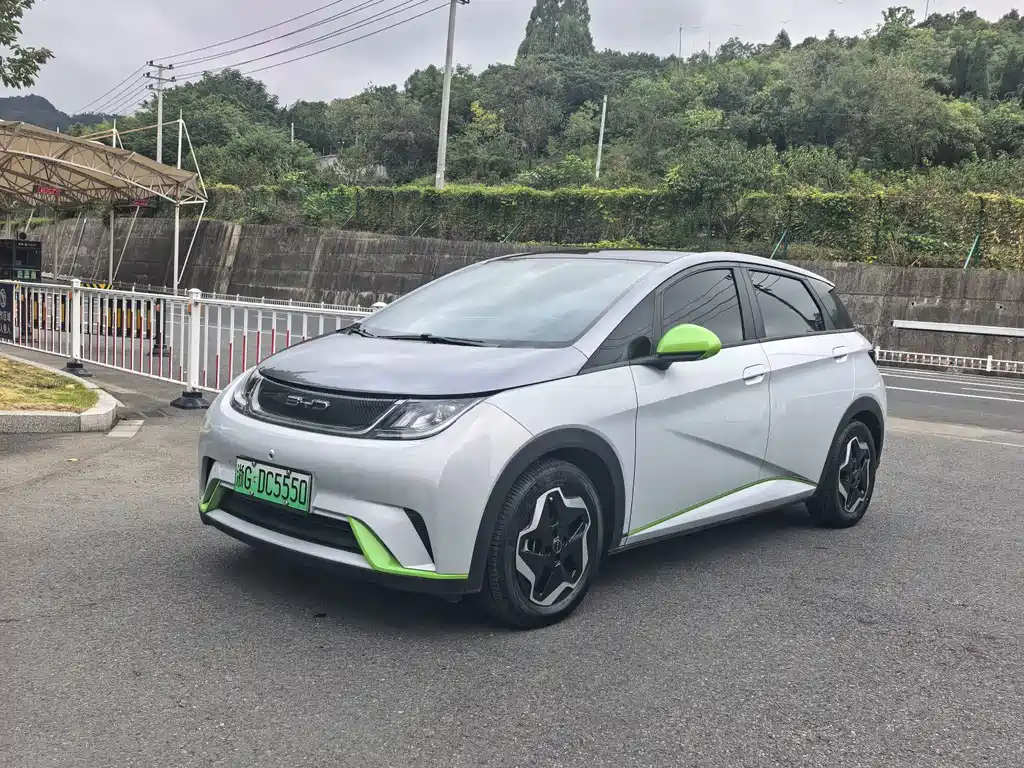 BYD Dolphin